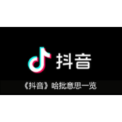 抖音哈批意思一览