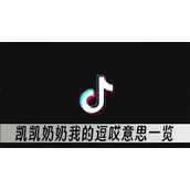 抖音凯凯奶奶我的逗哎意思一览