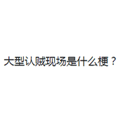 大型认贼现场是什么梗详情