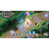 宝可梦大集结台服登录不了怎么办详情