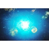 带你去看海底星空意思一览