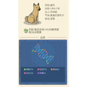 狗生模拟器如何生出混血狗