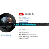 《抖音》从那天起歌曲介绍