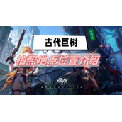 晶核古代巨树拍照地点在哪