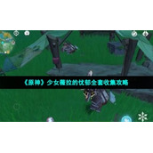 《原神》少女薇拉的忧郁全套收集策略