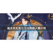 摇光录乱世公主沈西辞人物介绍