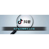 电子呕吐物梗含义介绍