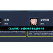 《王者荣耀》挚爱玫瑰亲密度提升策略