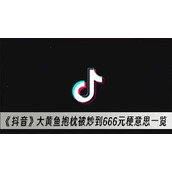 抖音大黄鱼抱枕被炒到666元梗意思一览