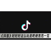 抖音好好好这么玩是吧梗意思一览