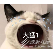 电子陪哭员梗的意思