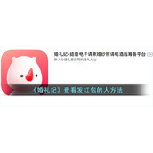 《婚礼纪》查看发红包的人方法