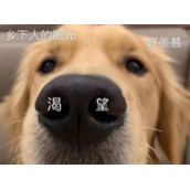 你要这么玩是吧梗是什么意思详情