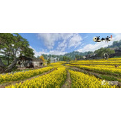 《逆水寒手游》杜鹃啼血任务完成方法