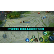 《王者荣耀》新英雄桑启连招技巧分享