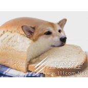 面包狗香肠狗梗的意思