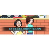 《文字来找茬》催婚妈妈2通关攻略