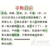 疯狂梗传寻狗启示通关攻略