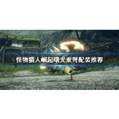 《怪物猎人崛起》重弩怎么玩？曙光重弩配装推荐