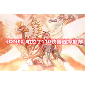 《DNF》帕拉丁110装备选择推荐