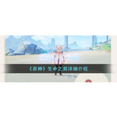 《原神》生命之契详细介绍