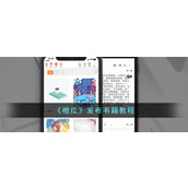 《橙瓜》发布书籍教程