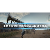 《永劫无间》武田信忠捏脸双马尾琦玉分享 双马尾琦玉武田信忠怎么捏？
