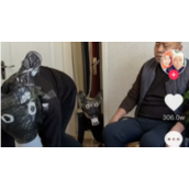 毛驴拉磨走不出那个圈什么意思毛驴拉磨走不出那个圈梗介绍