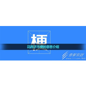 花西子币梗含义介绍