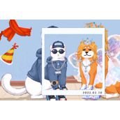 超级收纳馆萌宠出道怎么过