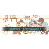 遇见你的猫怎么把狗带回去