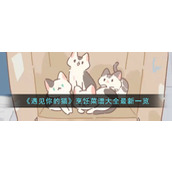 遇见你的猫烹饪菜谱有哪些