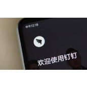 钉钉邮箱怎么注册