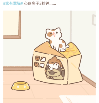 遇见你的猫触发喵圈方法条件大全