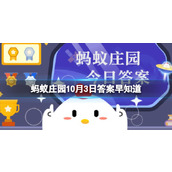 国庆旅游冷知识我国哪个城市有“华夏东极”之称蚂蚁庄园10月3日答案早知道（副本）