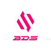 LOLS13全球总决赛BDS战队成员有哪些