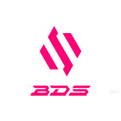 LOLS13全球总决赛BDS战队名单详情