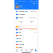 余额明细怎么删除不了