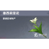 《原神》4.1版本塞西莉亚花采集路线分享