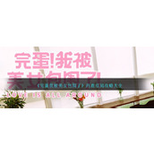 《完蛋我被美女包围了》肖鹿结局攻略大全