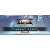 王者精英5v5兑换码有哪些