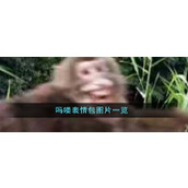 吗喽表情包图片一览