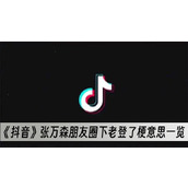 抖音张万森朋友圈下老登了梗意思一览