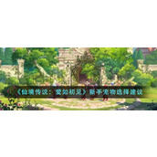 《仙境传说：爱如初见》新手宠物选择建议