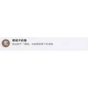 《崩坏星穹铁道》戴帽子的猫成就达成方法分享