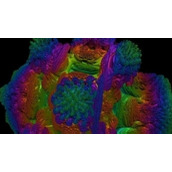 volumeshader_bm怎么打开volumeshaderbm打开方法介绍