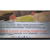 亚洲之子50.0隐藏角色剧情攻略大全