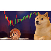 DOGE币值得投资吗？DOGE币未来能涨到多少？