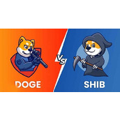 一文详细了解SHIB币和DOGE币哪个潜力大？