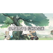 寻道大千仙树升级表介绍